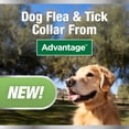 thumbnail image 3 of Advantage Collar Dog, Flea & Tick Collar for Dogs, One Size Fits All, 4-Month Protection, 3 of 12