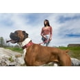 thumbnail image 2 of Country Brook Petz® Deluxe Red Bandana Dog Collar - Made in the U.S.A., Small, 2 of 6