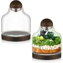 2 Pack Glass Terrarium with Wood Base & Ball Lid - Elegant Display Jars for Plants, Decorative Container Ideal for Moss, Air Plants, Succulents, for Tabletop Home & Office Decor (7 Inch)