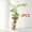 6.5X10CM 2pcs, variant on 1pc, Hydroponics Plants Desktop Glass Planter Vase For Home Decoration, Plant Propagation Station Bud Vase, Desktop Hydroponics