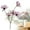 Pink, variant on 6Pcs Artificial Flowers, Artificial Five-Headed Daisies, Uv-Protected Outdoor Artificial Flowers with Stems, Suitable for Wedding Decorations, Home Garden Decorations. 1Pc White with Pink Edges