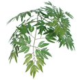 thumbnail image 2 of Vickerman TBU0640 Vickerman 4' Artificial Ming Aralia Bush in a Rattan Basket, 2 of 6