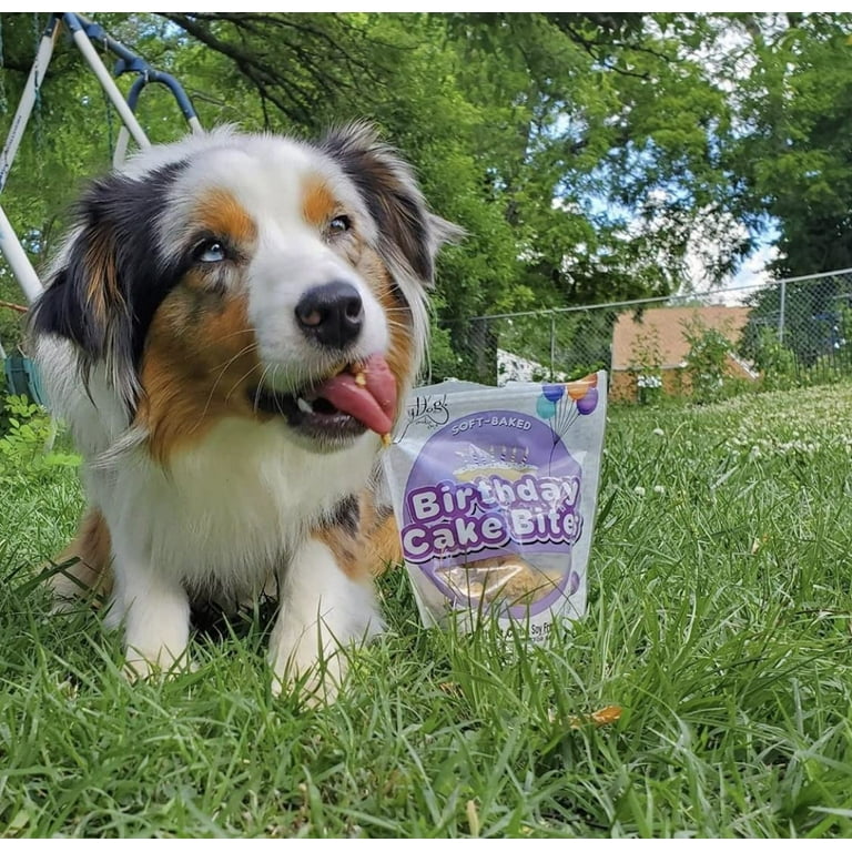 Lazy dog birthday clearance cake