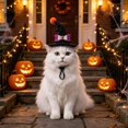 thumbnail image 5 of Halloween Pet Witch Hat, Adjustable Cat Dog Halloween Hat with Bow, Pet Party Cosplay Headwear for Cats Small Dogs, 5 of 5