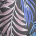Palm