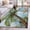 blue, variant on 3'x5' Area Rugs, Coastal Beach Indoor Outdoor Area Rug for Living Room Bedroom, Oil Painted Tropical Palm Tree Starfish Washable Bathroom Rugs Kitchen Floor Carpet Mats Home Decor Aesthetic