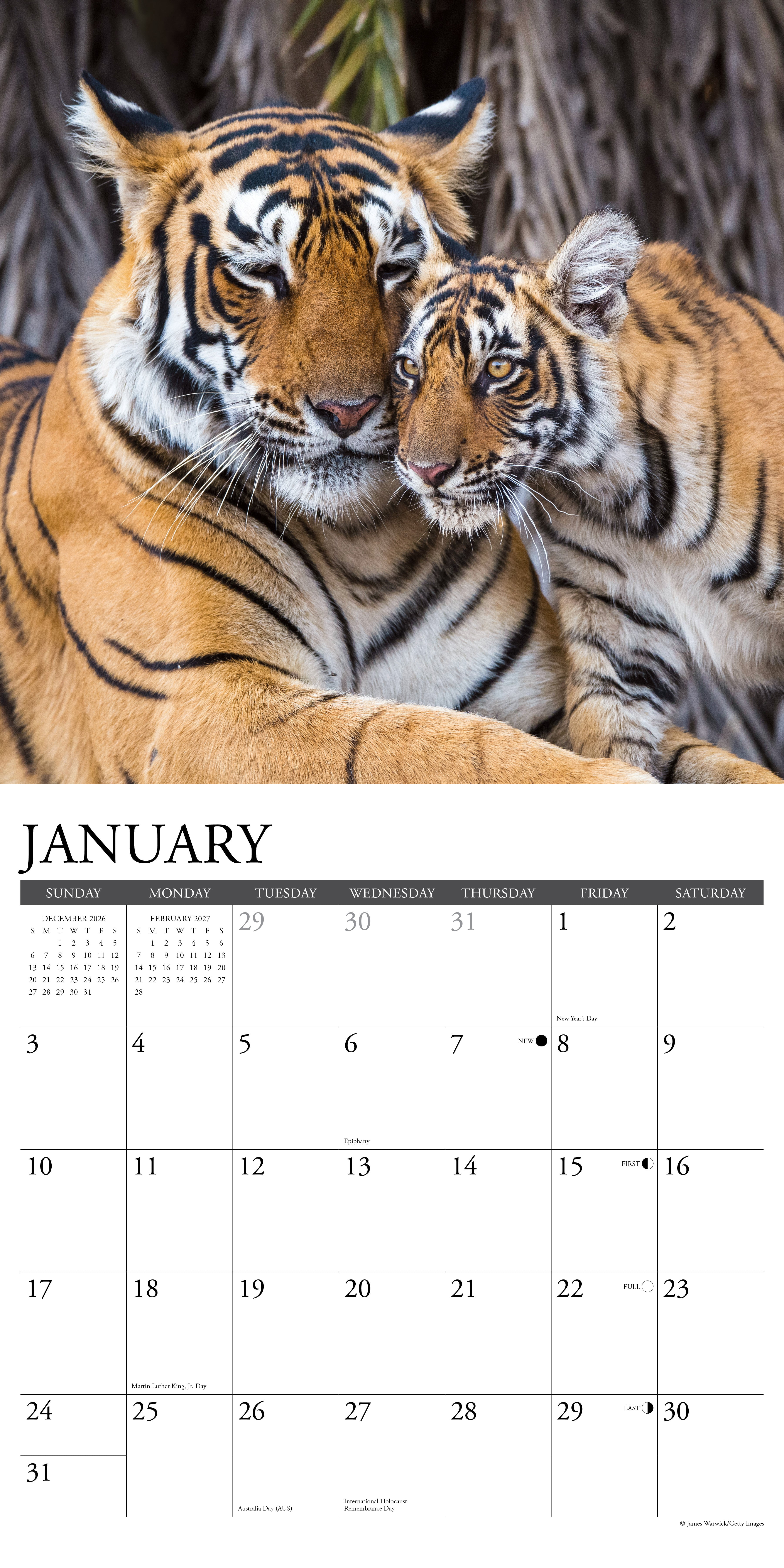Willow Creek Press, Tigers 2027 Wall Calendar
