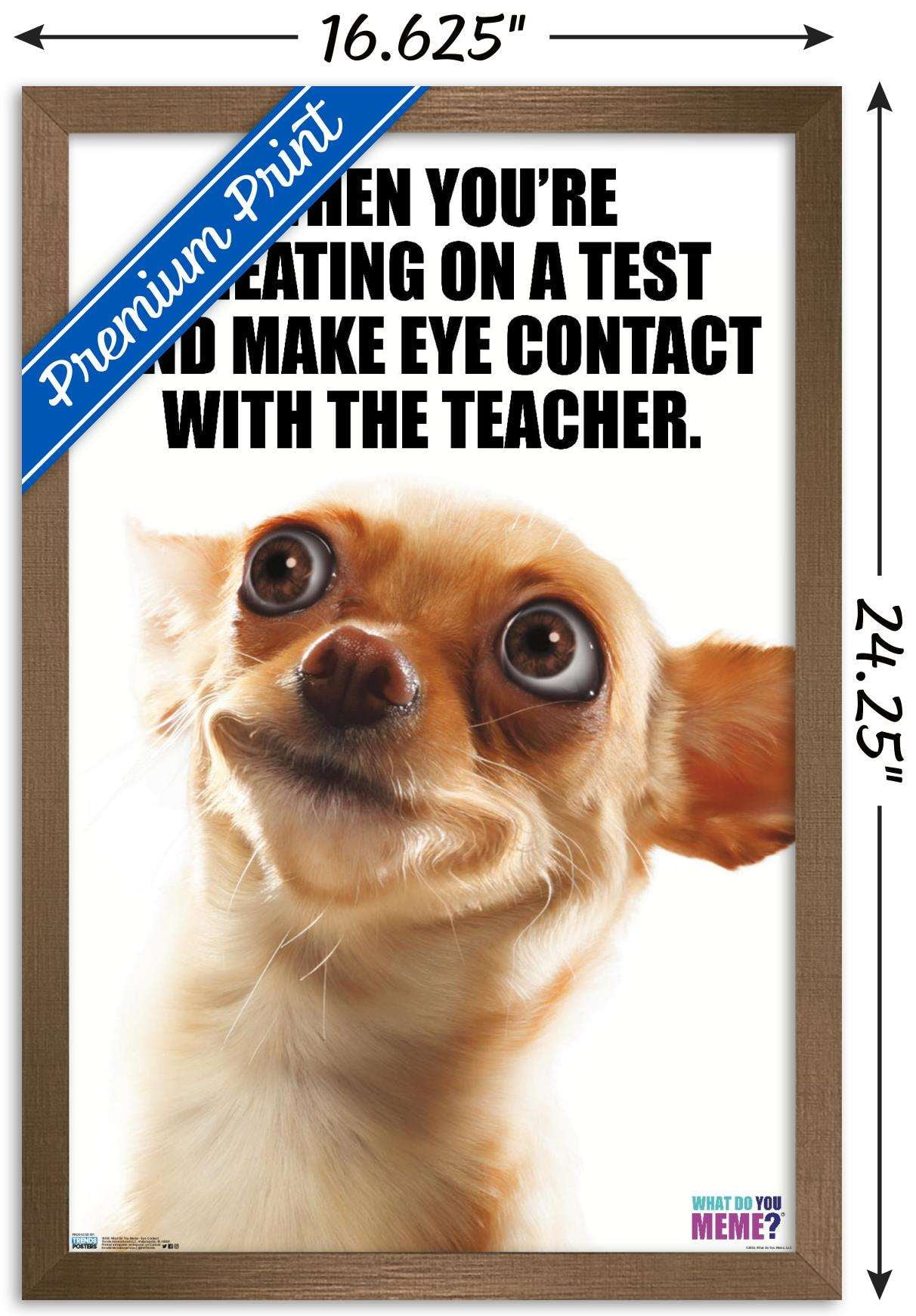 Side Eye Dog Blank Template - Imgflip, image size:1212x1742