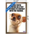 thumbnail image 3 of What Do You Meme - Eye Contact Wall Poster, 14.725" x 22.375", Framed, 3 of 3