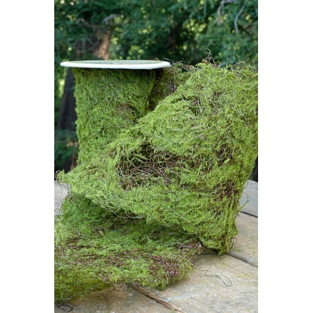 Sheet Moss Roll Artificial 6 Inch Width X 36