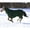 Hunter Green, variant on Tough 1 Blanket Turnout 1200D Poly Full Neck 75 Royal Blue 32-2120FN