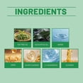 thumbnail image 5 of SOUTH MOON Nail Fungus Solution 10ml Toenail Fungus Treatment for Fragile, Discolored & Damaged, 5 of 5