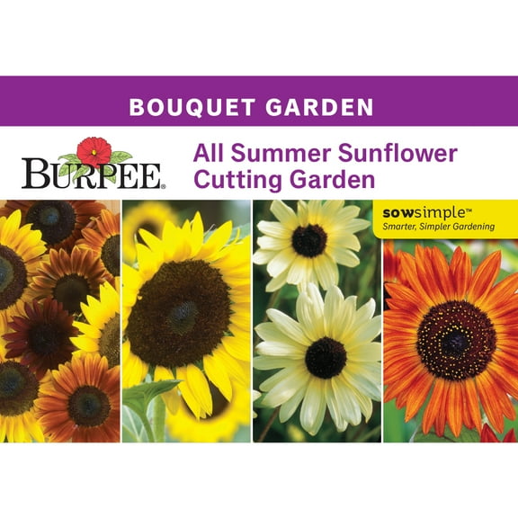 Burpee All Summer Sunflower Cutting Garden Starter Garden Flower Seed Collection, 1-Pack