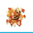 thumbnail image 4 of Zupreem® Real Rewards™ Tropical Mix Treats for Medium Birds 6 Ounces, 4 of 6