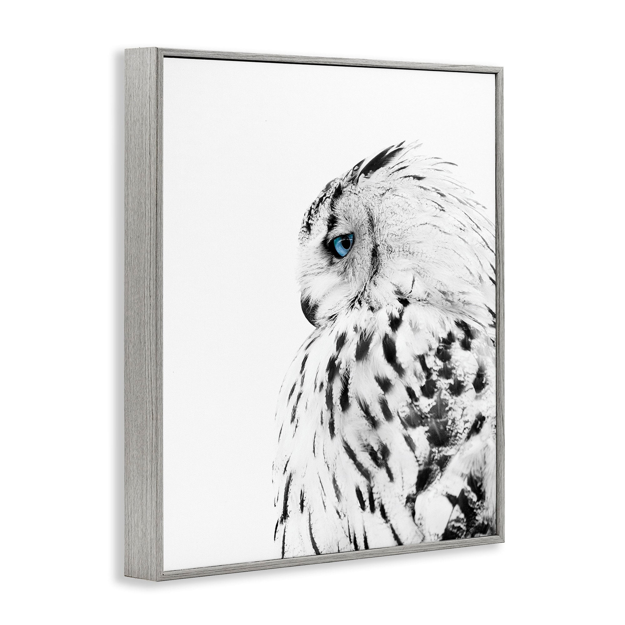 Stupell Industries Snow Owl White Feathers Peering Blue Eyes,11 x 14,Designed by Design Fabrikken