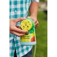 thumbnail image 4 of Miracle-Gro Grass Flower Synthetic Fertilizer, 1lb Water Soluble, 4 of 8