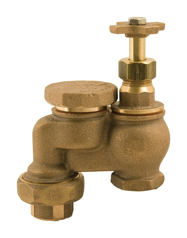 Champion AntiSiphon Valve 3/4 in. 150 psi