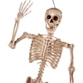 thumbnail image 6 of JOYIN 5.6ft Life Size Skeleton Full Body Realistic Human Bones with Posable Joints for Halloween Pose Skeleton Prop Decoration,Indoor and Outdoor Use, 6 of 8