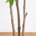 thumbnail image 4 of Nearly Natural Sumac Artificial Potted Tree - 8' - Green, 4 of 7
