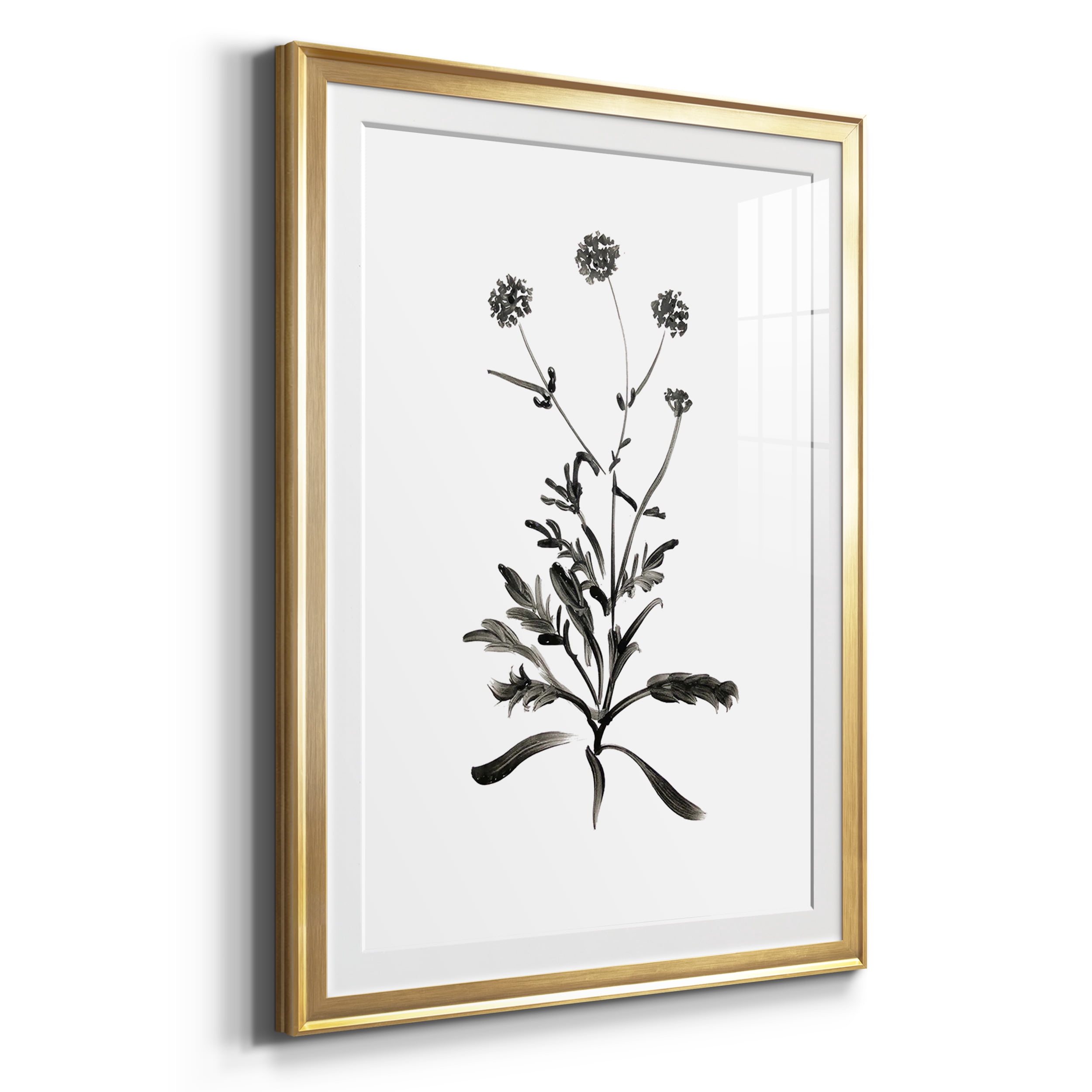 Inky Botanical I Premium Framed Prints Set of 3 - Ready to Hang - 26.5 x 36.5 Each - Gold Frame