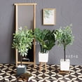 thumbnail image 2 of 1/6 Doll House Furniture Accessories Mini Model Potted Plant Pot Green Plants Tree Bjd Ob11 Blyth Lol Miniature Scene Decoration Gao Jinjia LED, 2 of 2