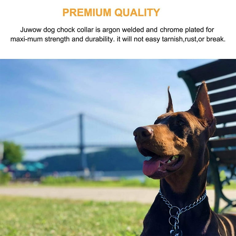 Choke chain clearance for doberman