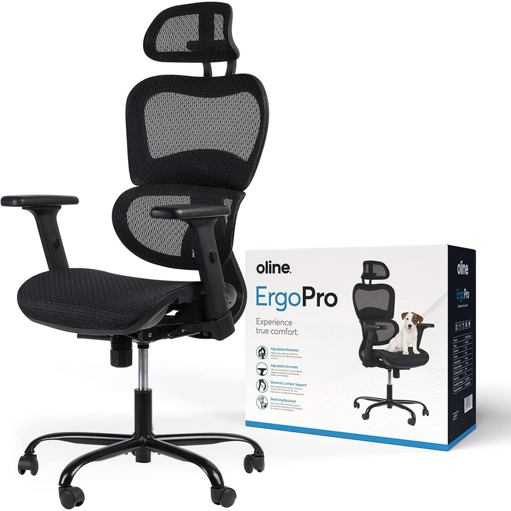 Oline ErgoPro Ergonomic Office Chair Rolling Desk Chair with 3D