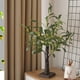 thumbnail image 4 of Yuarrent Lámpara de árbol bonsái elegante y práctica, luz que cuida los ojos, regalo, lámpara LED en forma de árbol, luz nocturna, Type3 NO3, 4 of 6