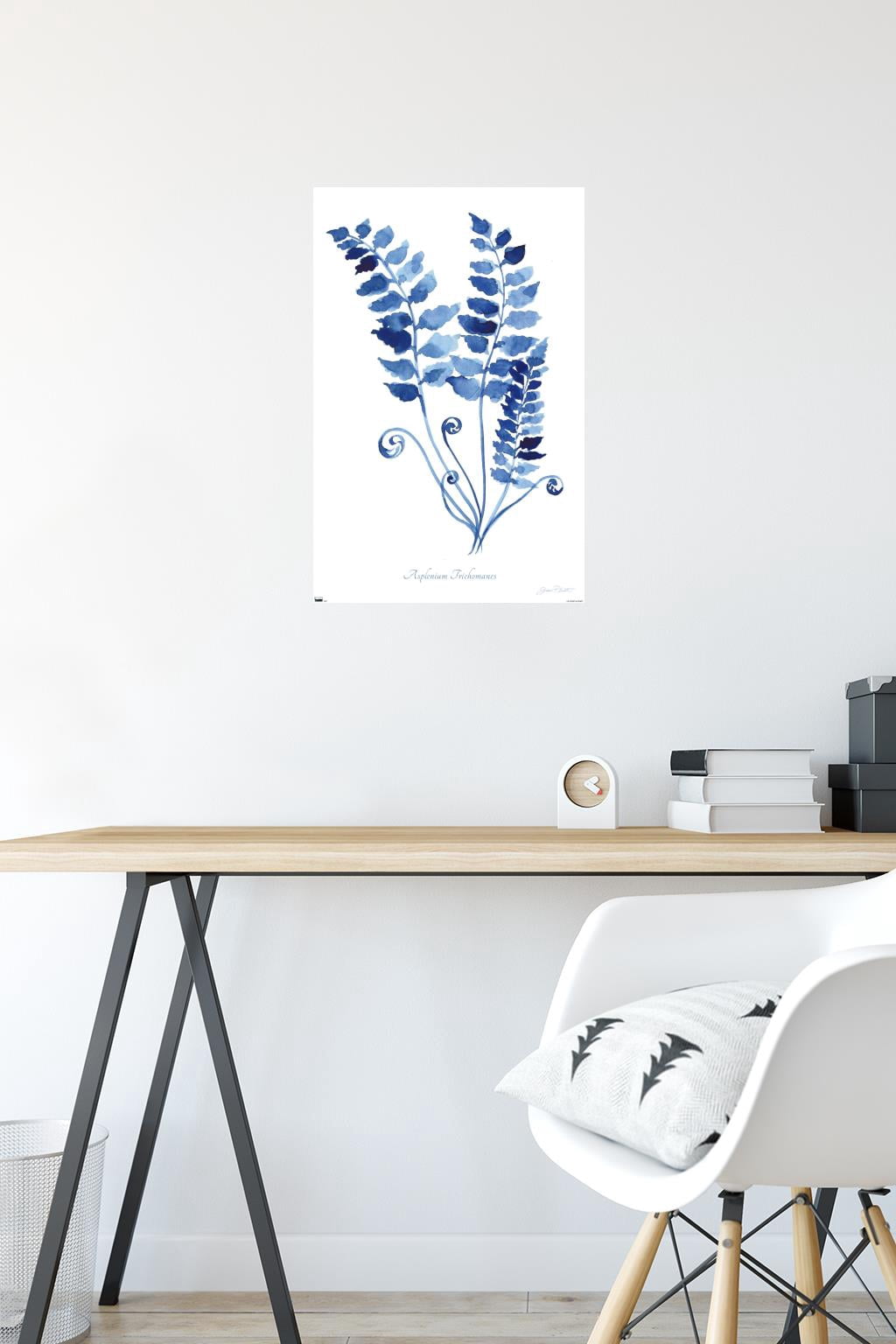 Jean Plout - Indigo Botanical Asplenium Trichomanes Wall Poster, 14.725" x 22.375"