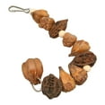 thumbnail image 1 of Juguete Para Masticar Nueces De Loro, Juguetes Para Masticar Pájaros, Troncos De Resistencia A Mordeduras Hechos A Mano Para Periquitos Para Guacamayos, 1 of 7
