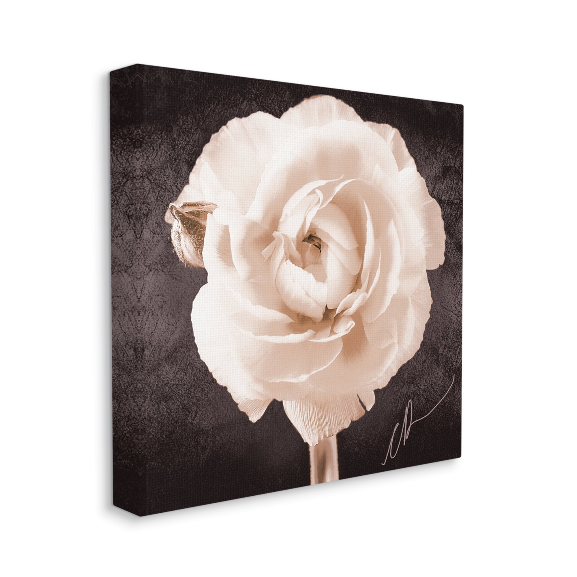 Stupell Industries Vintage Rose Bloom Botanical & Floral Painting Gallery Wrapped Canvas Art Print Wall Art, 36 x 36