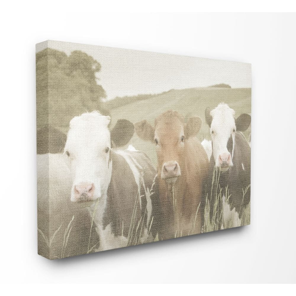 Stupell IndustriesHappy Neighbors Cows in the FieldCanvas Wall Art by Daphne Polselli
