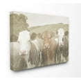 thumbnail image 5 of Stupell IndustriesHappy Neighbors Cows in the FieldCanvas Wall Art by Daphne Polselli, 5 of 5