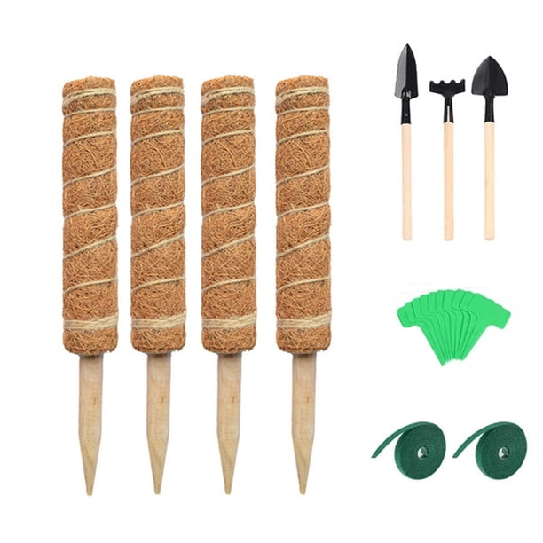 Polo de escalada de plantas enredaderas de jardinería interior Pegados Reutilizables Reutilizable Hacia arriba Cultivo de soporte Extensión de extensión Invernadero 40 cm 4 piezas Vogacara HA059509-02
