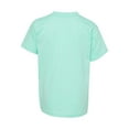 thumbnail image 3 of Hanes Ecosmart Youth Short Sleeve T-Shirt, 3 of 3