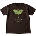 thumbnail image 3 of National Geographic Luna Moth "Why Am I So Fly" T-Shirt , 90s Style National Geographic Tee ,Funny Nature Tee, 3 of 6