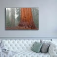 thumbnail image 5 of Epic Graffiti 'Kings Canyon' by Mike Jones, Giclee Canvas Wall Art, 60"x40", 5 of 8