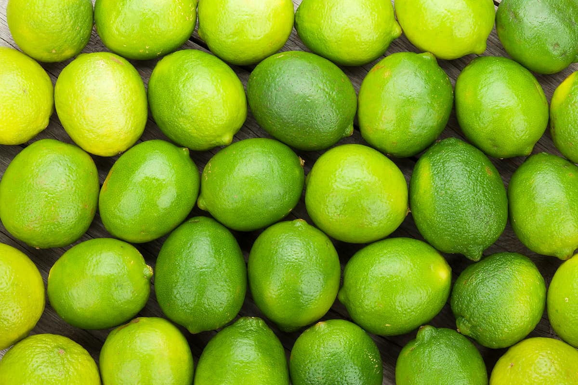 Fresh Limes, 2 lb Bag