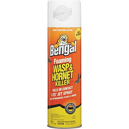 Bengal Foaming Wasp & Hornet Killer (Best Way To Kill Wasps And Hornets)