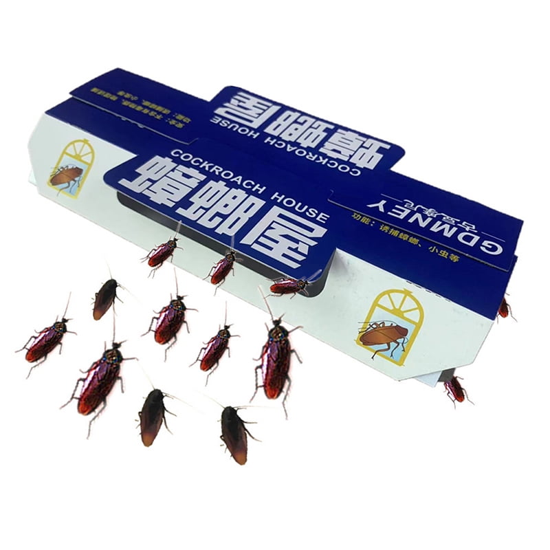 Cockroach Killing Bait Gel Poison Trap Repellent Insects Killer Pest Control Set 