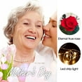 thumbnail image 4 of Lampe Rose Artificielle de Lumière de Fleur de Rose Éternelle avec la Barre de Lumière LED Fleurs Roses Rouges en Cadeaux de Verre pour les Filles de Femmes pour la Saint-Valentin de Jour de la Mère de Mariage, 4 of 9