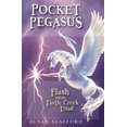 thumbnail image 1 of Poche Pégase, 1 of 3