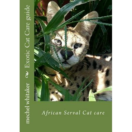 Exotic Cat Care Guide: African Serval Cat Care Walmart.com Exotic Cat Care Guide: African Serval Cat Care Walmart.com