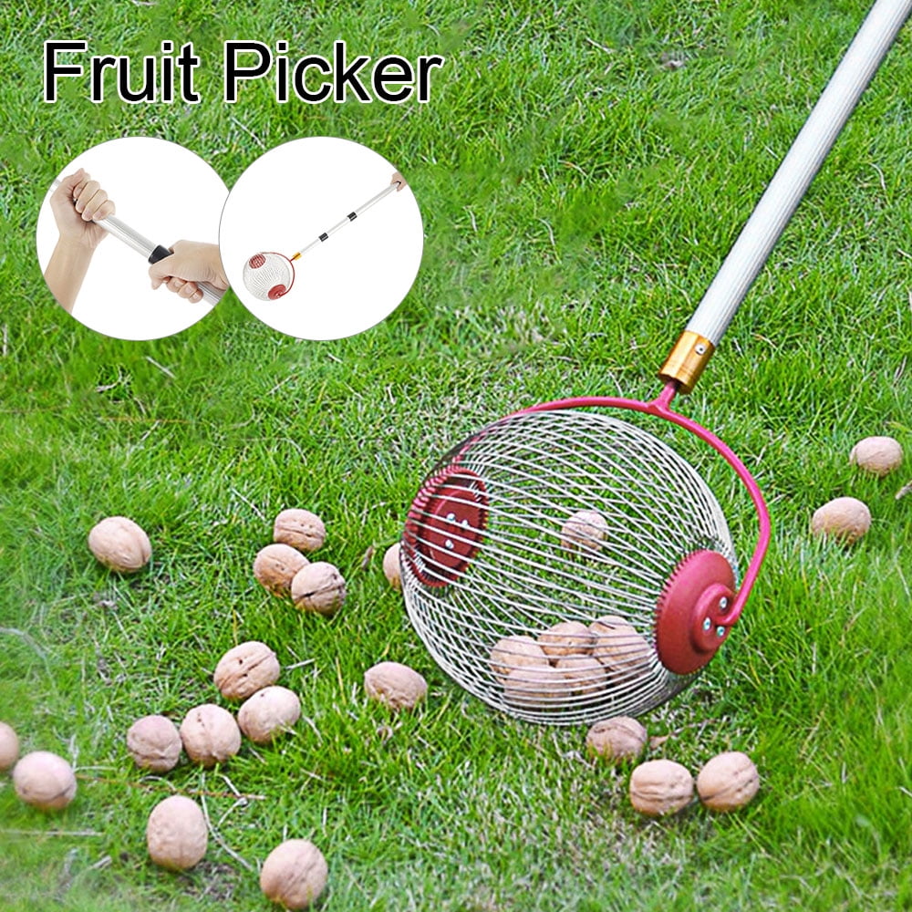 Garden Nut Gatherer House Outdoor Large Fruit Picker Upper Walnut Tool Harvest Garden Nut Gatherer House Outdoor Large Fruit Picker Upper Walnut Tool Harvest