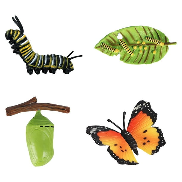 Modelo educativo del ciclo de los insectos y el crecimiento de las mariposas para niños, juguetes de aprendizaje de biología. B
