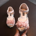 thumbnail image 2 of HUANBAI Girls Rhinestone Flower Shoes Low Heel Princess Shoes Flower Wedding Party Dress Pump Shoes For Kids Toddler 11, 2 of 7