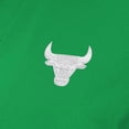 thumbnail image 4 of Women's Antigua Kelly Green Chicago Bulls St. Patrick's Day-Era Polo, 4 of 4