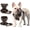 brown, variant on BLRTUN Pet Dog Harness for Small Medium Dogs No Pull Puppy Cats Vest Harness Adjustable Reflective Breathable Mesh Lightweight Harnesses Leash Set Escape Proof for Walking Training