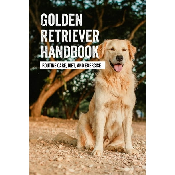 how much exercise should a golden retriever puppy get