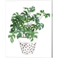 thumbnail image 5 of Great Art Now Plant in a Pot by Melissa Wang 4 Piece Canvas Art Set Each 12"W x 15"H, 5 of 5
